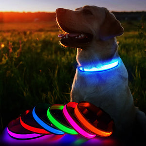 MASBRILL LED Dog Collar Luminous, Waterproof, Safety Glow / Flashing Light